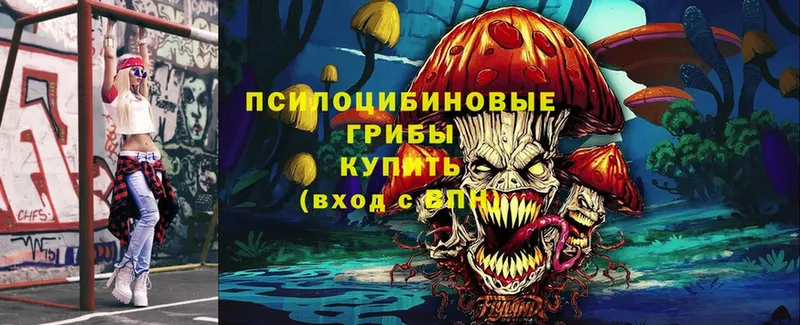 Галлюциногенные грибы MAGIC MUSHROOMS Бодайбо